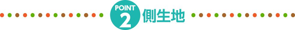 POINT.2 側生地