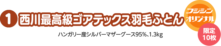西川最高級ゴアテックス羽毛ふとん