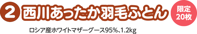西川あったか羽毛ふとん