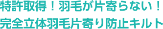 特許取得！羽毛が片寄らない！完全立体羽毛片寄り防止キルト