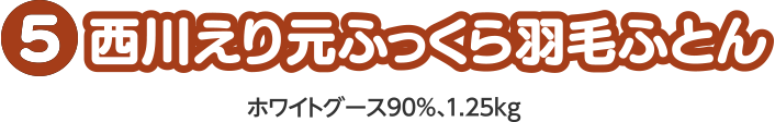 西川えり元ふっくら羽毛ふとん