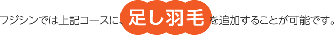 フジシンでは上記コースに、足し羽毛を追加することが可能です。