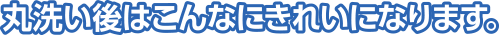 丸洗い後はこんなにきれいになります。
