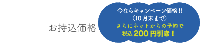 今ならキャンペーン価格!!(10月末まで)