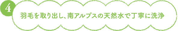 4.羽毛を取り出し、南アルプスの天然水で丁寧に洗浄