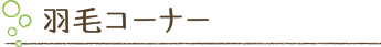 羽毛コーナー