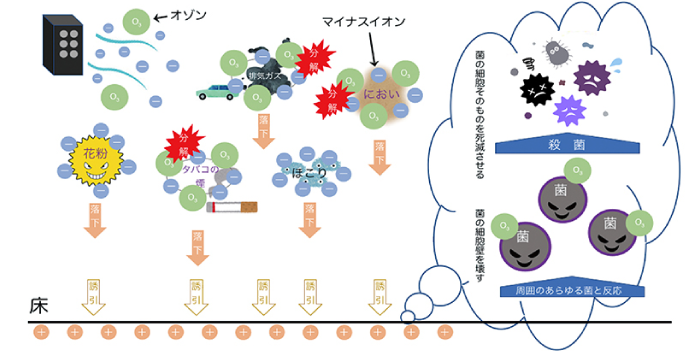 効能イラスト 画像