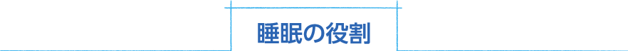 睡眠の役割