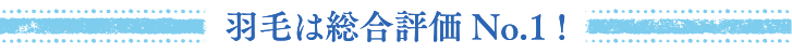 羽毛は総合評価No.1 !