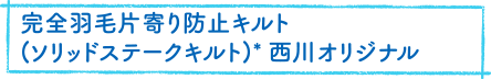 完全羽毛片寄り防止キルト(ソリッドステークキルト)*西川オリジナル