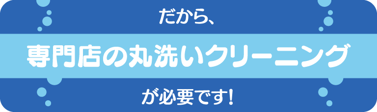 だから、専門店の丸洗いクリーニングが必要です！